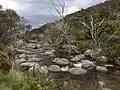 Thredbo River upstream of Thredbo Village