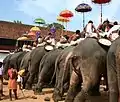 Caparisoned elephants during Sree Poornathrayesa temple festival.