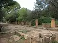 Roman ruins of Tipasa (basilica)