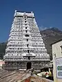 Arunachaleshwarar Temple, Thiruvannamalai(Fire)