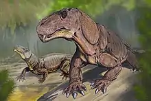 Reconstruction of a pair of T. potens