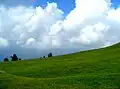 Toli Pir at Rawalakot