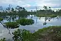 Tolkuse bog pools