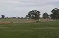 Toolamba-Echuca line heads westward at Toolamba