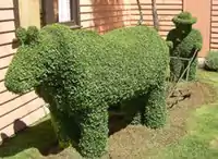 Topiary at Railton, Town of Topiary, Tasmania, Australia