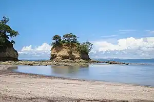 Torbay beach