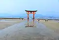 The torii gate as seen from the castle at low tide