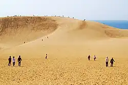 View from the biggest dune