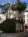 Fontaine des Trois Dauphins, Place Puget (1782)