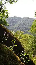 Nature in Tovuz District