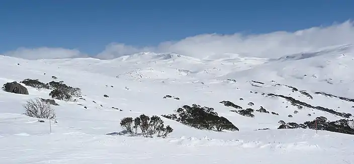 Kosciuszko National Park, New South Wales: View towards Mount Kosciuszko, winter 2008.