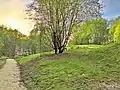 This greenspace was the location of the pithead buildings.