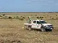 Toyota Hilux with flame-thrower at Eyre Highway buffer prescribed burn, Cocklebiddy, October 2010.