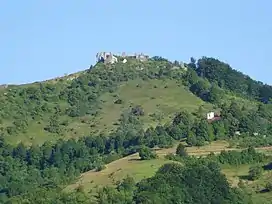 A wider view of the castle and its surroundings