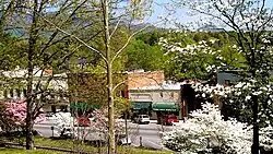 Trade Street, Tryon, North Carolina