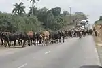 Traffic jam on Carretera