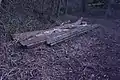 Tram track in Manor Farm Park (formerly Northfield Manor House grounds), Selly Oak.