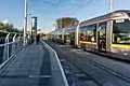 A Luas tram at Ranelagh station