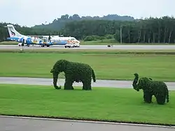 Trat Airport