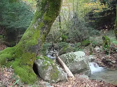 A part of the trekking path located on Dirfi mountain.