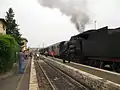 Trenonatura steam train at Buonconvento.