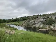 The Treur River and lush vegetation on its banks