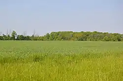 Fields west of Clay Center