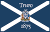 Flag of Truro