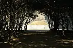 A fenced mound beyond a thick forest.