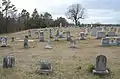 Field of headstones