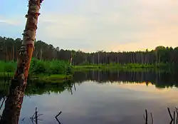 Lake Tumbotinskoye in Pavlovsky District