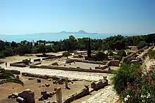 a colour photograph of excavated ruins from the classical period on a sunny day