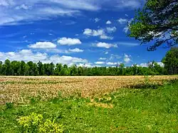 Fields and woods in the township