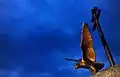 Turul bird on the Trianon memorial in the 14th District of Budapest, Hungary (2012)