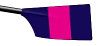 Image showing the rowing club's blade colours