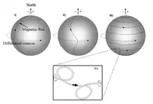 A diagram showing the evolution of the solar magnetic flux over one solar cycle