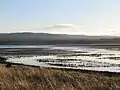 Tyne estuary