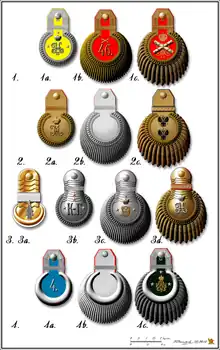 Types of epauletteAuthor: Kirill Vasilyev