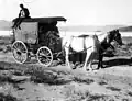 U.S. Geological Survey outfit enroute Blair to Silverpeak. Silver Peak quadrangle. Esmeralda County, Nevada. 1912.