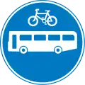 Road shared by bicycles and buses