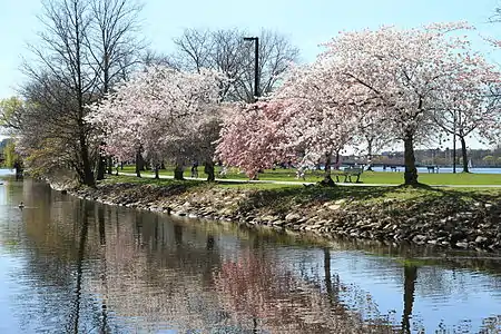 Charles River Esplanade in 2013