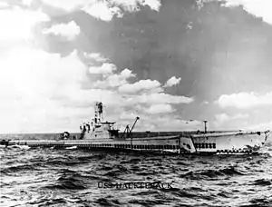 USS Hackleback (SS-295)