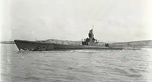 Spadefish (SS-411), off Mare Island Navy Yard, 11 May 1944.