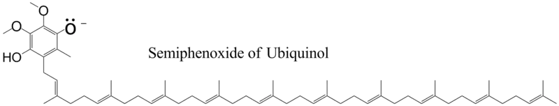 Ubiquinol, semiphenoxide