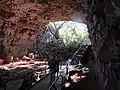 Archway cave,looking out