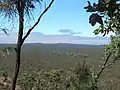 A view from the rim of Kalkani Crater. Undara Crater in the distance. Line of pale vegetation traces a lava tube.