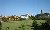 Guildford Cathedral overlooks Stag Hill campus.