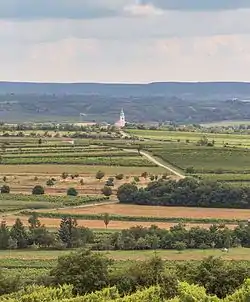 Remote view of Unterretzbach and parish church