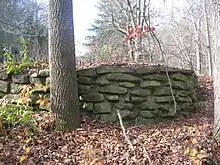 A low fieldstone wall next to a tree trunk in a wooded area