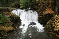 A waterfall surrounded by forest